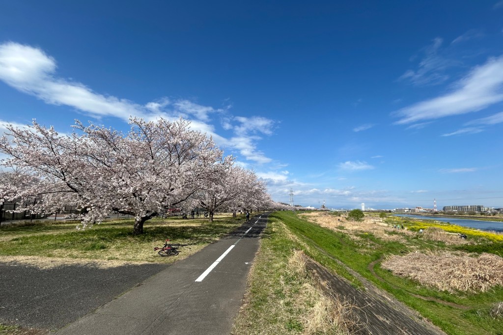 素材名残りを拾う