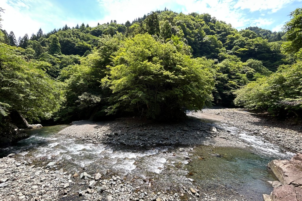 じっくり育てる脳