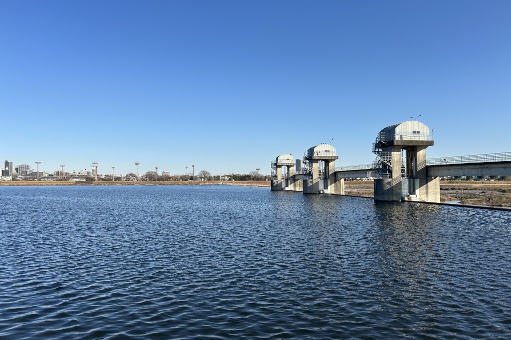 多摩川の雁を知りたい