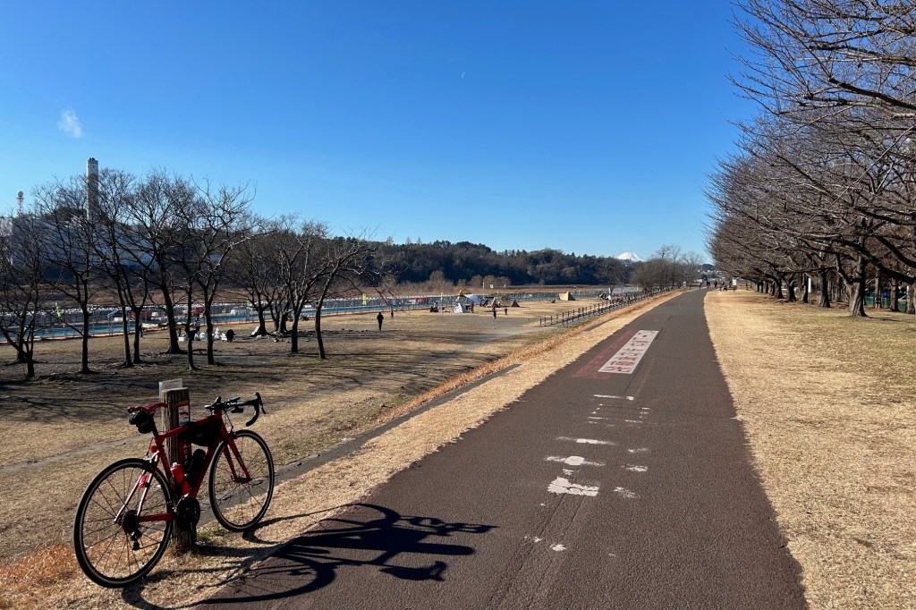 自転車移動の燃費