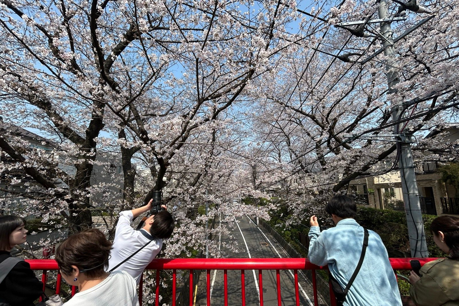 EMIRPs Today 2026年3月配信まとめ